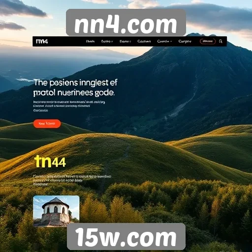 Experiência do usuário no site nn4.com